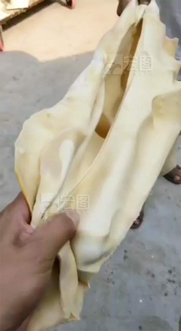 石膏模具硅胶抗撕拉测试